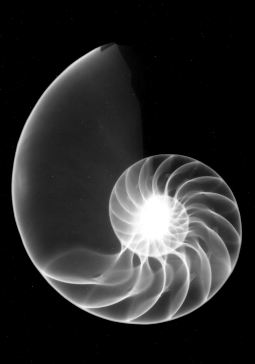 Nadya Dzyak Ukrainian Fashion Designer Nadya Dzyak Ukrainian Fashion Designer