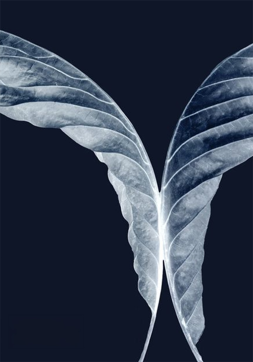 Tops by Nadya Dzyak Tops by Nadya Dzyak